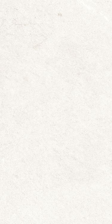 Dhara White Matte 12 x 24